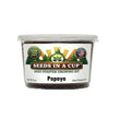 Papaya Grow Kit | Seeds In A Cup®
