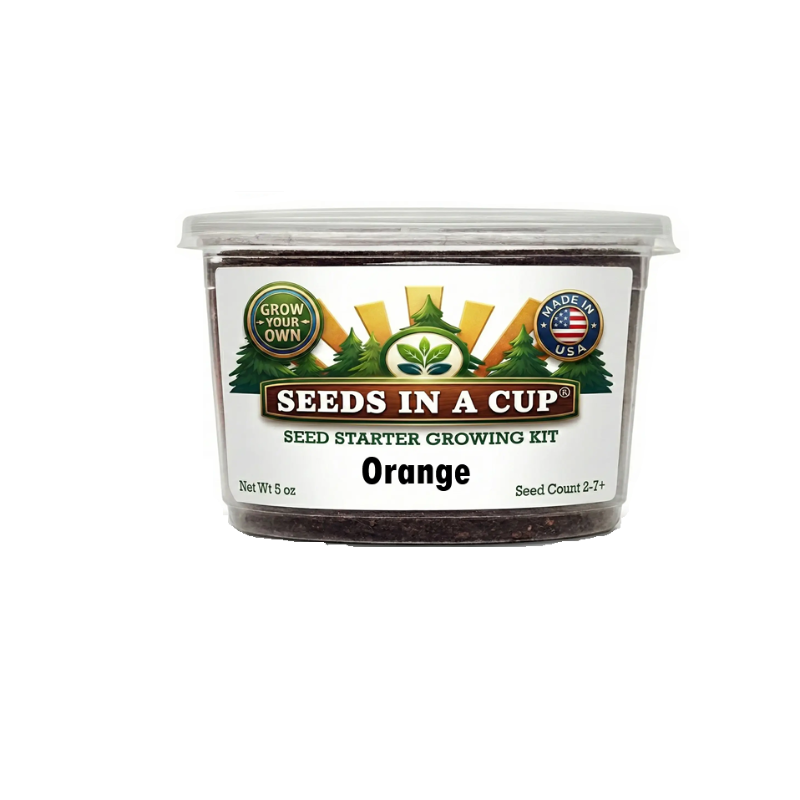 Orange Tree Grow Kit | Seeds In A Cup®