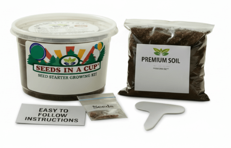 Macadamia Nut Tree Grow Kit | Seeds In A Cup®