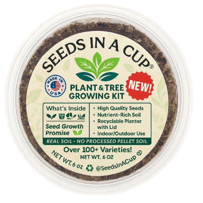 Pear Tree Grow Kit with Non-GMO Seeds & Planter