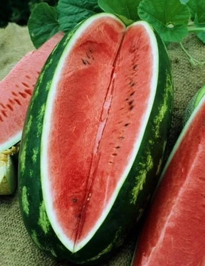 Congo Watermelon Organic Seeds