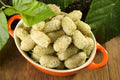 White Mulberry Tree Organic Seeds