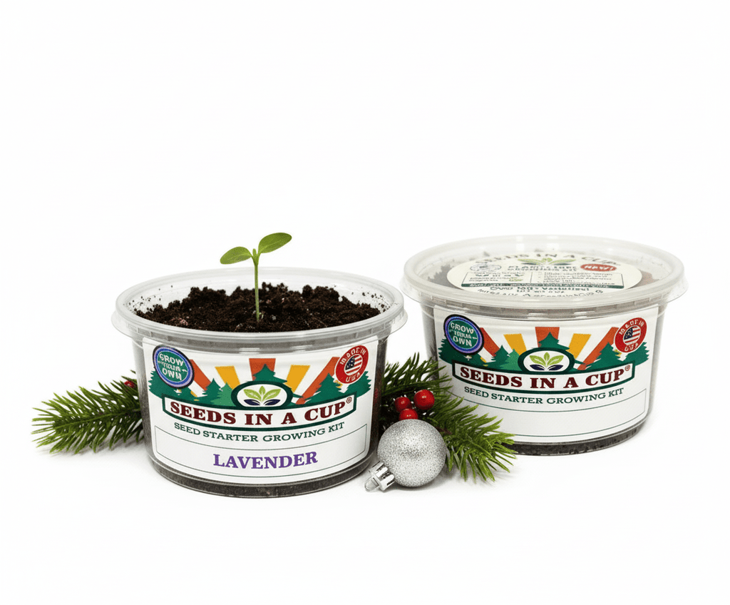 Lavender Grow Kit | Seeds In A Cup®