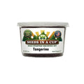Tangerine Tree Grow Kit | Seeds In A Cup®